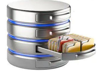 Microsoft Access Database for Collections Agency